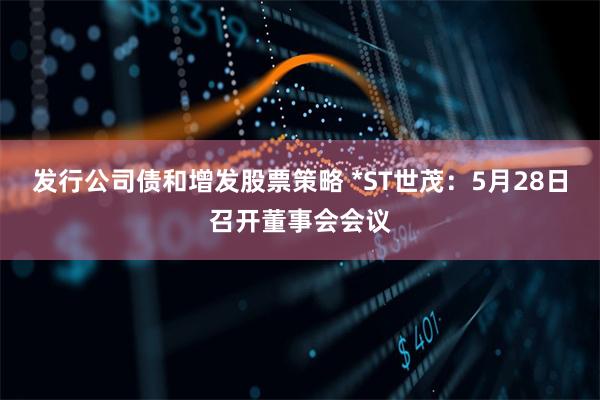 发行公司债和增发股票策略 *ST世茂：5月28日召开董事会会议