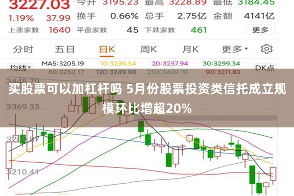 买股票可以加杠杆吗 5月份股票投资类信托成立规模环比增超20%