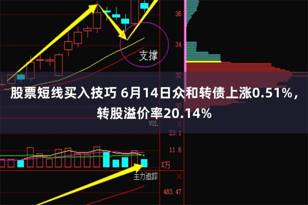 股票短线买入技巧 6月14日众和转债上涨0.51%，转股溢价率20.14%