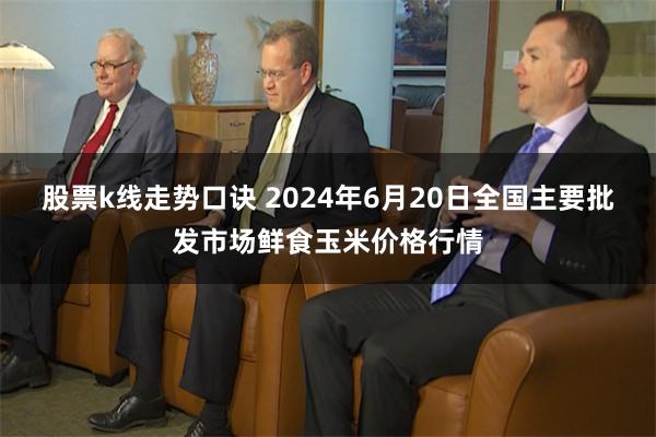 股票k线走势口诀 2024年6月20日全国主要批发市场鲜食玉米价格行情