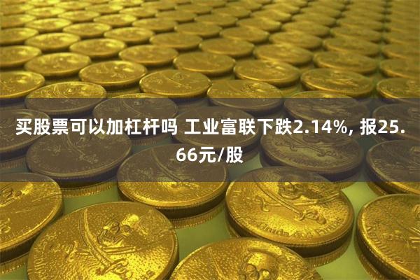 买股票可以加杠杆吗 工业富联下跌2.14%, 报25.66元/股