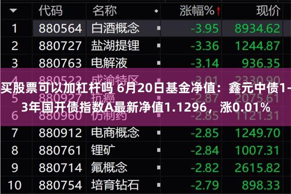 买股票可以加杠杆吗 6月20日基金净值：鑫元中债1-3年国开债指数A最新净值1.1296，涨0.01%