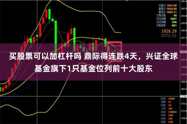 买股票可以加杠杆吗 鼎际得连跌4天，兴证全球基金旗下1只基金位列前十大股东