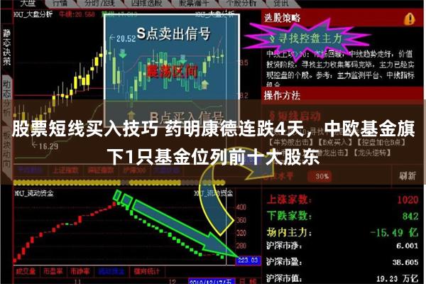 股票短线买入技巧 药明康德连跌4天，中欧基金旗下1只基金位列前十大股东