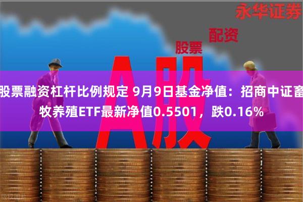 股票融资杠杆比例规定 9月9日基金净值：招商中证畜牧养殖ETF最新净值0.5501，跌0.16%