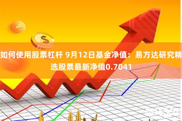 如何使用股票杠杆 9月12日基金净值：易方达研究精选股票最新净值0.7041